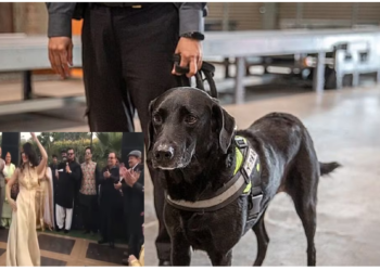 डांस शो से नाराज जर्मन बैले निर्देशक ने पत्रकार के मुंह पर पोत दिया कुत्ते का मल