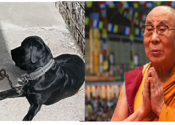 नीलाम हुआ साढ़े 12 साल तक दलाई लामा को सुरक्षा देने वाला ‘डूका’, इतने रुपये में लगी बोली