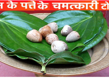 बड़े कमाल के हैं पान के ये टोटके, हनुमान जी भी होते हैं प्रसन्न