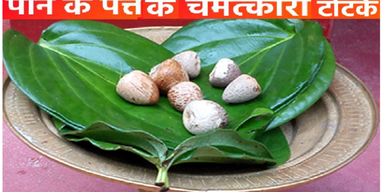 बड़े कमाल के हैं पान के ये टोटके, हनुमान जी भी होते हैं प्रसन्न