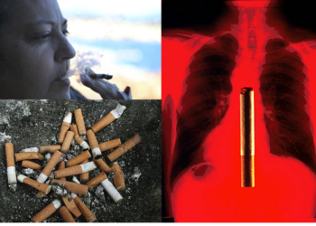 अगर आप भी पीते हैं सिगरेट? तो आज से ही खाना शुरू कर दें हेल्दी ये चीजें