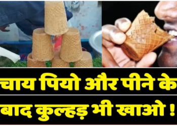 चाय पीजिए फिर कप भी खाइए, यूपी के किसानों ने बनाया अनोखा कुल्हड़