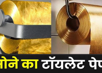 इतना महंगा टॉयलेट पेपर, एक रोल की कीमत में आ जाए हेलीकॉप्टर, यूज करते हुए गिरते हैं सोने के कण