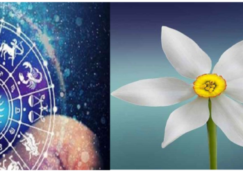 सफेद रंग का राशियों पर क्या पड़ता है प्रभाव, यहां जानिए