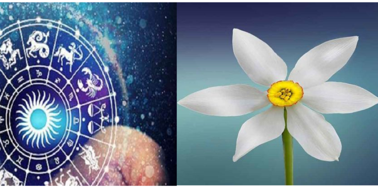 सफेद रंग का राशियों पर क्या पड़ता है प्रभाव, यहां जानिए