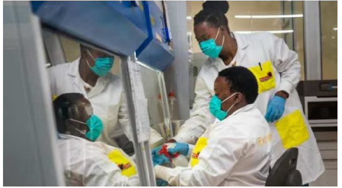 अफ्रीका में रहस्यमय वायरस का प्रकोप, नाक से खून निकलते ही मौत