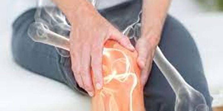 बुजुर्गो की हड्डियों को कमजोरी से बचाता है सीबीएफ-बीटा प्रोटीन