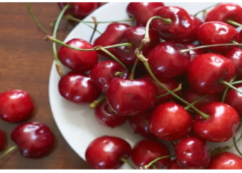 चेरी के सेवन से कई बीमारियां रहती है दूर, चेरी खाने से इम्यूनिटी होती है मजबूत