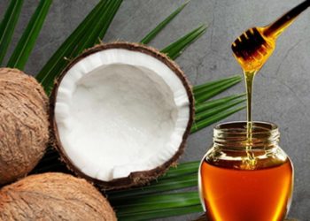 शहद और नारियल से निखारें अपनी खूबसूरती, ये है इस्तेमाल करने का सही तरीका