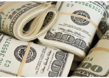 सिर्फ झाड़ू पोछा लगाकर कमा रही करोडों रुपए, 1 घंटे का लेती है 25 हजार रुपए