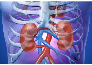 सावधान…जरुरत से ज्यादा पानी पाने से किडनी को हो सकता है नुकसान, जानिए कैसे
