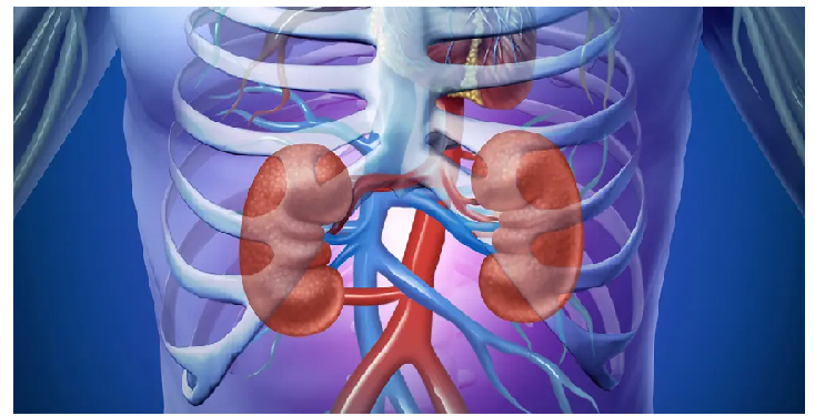 सावधान…जरुरत से ज्यादा पानी पाने से किडनी को हो सकता है नुकसान, जानिए कैसे