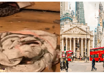 महिला किराएदारों के भरोसा छोड़कर गई घर, लौटकर देखा तब आया रोना