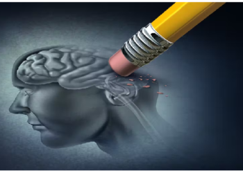 आखिर क्‍यों बदल जाती हैं हमारी यादें?, व्‍यक्ति के जीवन में लगातार और तेजी से हो रहे है बदलाव