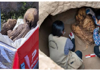 पेरू में 800 साल पुरानी ममी पीठ पर लादकर घूम रहा था शख्‍स, बताया- यह आध्‍यात्मिक गर्लफ्रेंड है