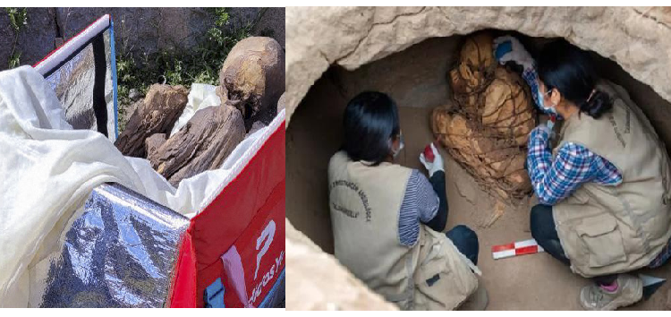 पेरू में 800 साल पुरानी ममी पीठ पर लादकर घूम रहा था शख्‍स, बताया- यह आध्‍यात्मिक गर्लफ्रेंड है