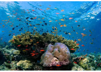 ग्लोबल वार्मिग के कारण सुमद्र बनेगा धरती के विनाश का कारण