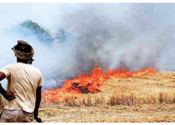 पराली को जलाने की जगह ऑर्गेनिक खाद, भूसा और पराली की गांठें बनवाकर किसान कर सकते हैं कमाई