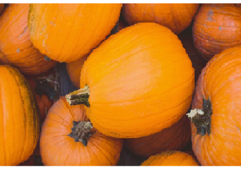 कद्दू फल है या सब्जी? अगर आपको पता होंगे ये फायदे तो आज से ही खाना शुरू कर देंगे