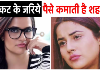 शहनाज गिल पर भड़कीं सोना महापात्रा, शॉर्टकर्ट्स के जरिए पैसा कमाती है शहनाज