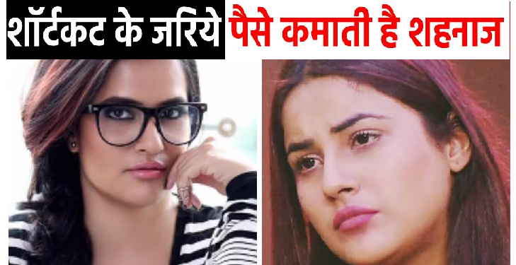 शहनाज गिल पर भड़कीं सोना महापात्रा, शॉर्टकर्ट्स के जरिए पैसा कमाती है शहनाज
