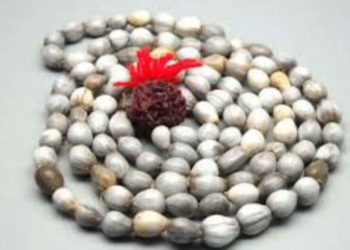 विजेता बनना है तो धारण करें वैजयंती माला