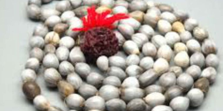 विजेता बनना है तो धारण करें वैजयंती माला