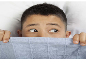 दीवार से आ रही थी ‘अजीबोगरीब’ आवाज, देखा तो मिली ऐसी चीज देखकर निकल गई चीख