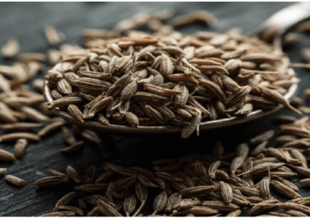 डेली डाइट में करें जीरे को शामिल, शरीर में दिखने लगेगा जादू