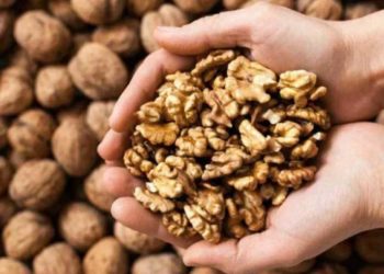 दिमाग ही नहीं स्किन भी चमकाता है अखरोट, ऐसे करें सेवन