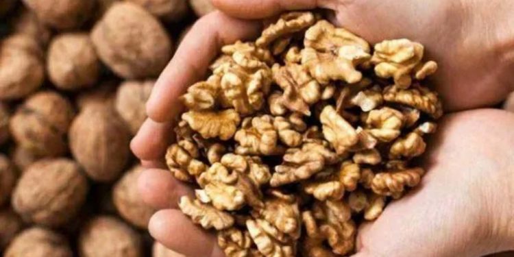 दिमाग ही नहीं स्किन भी चमकाता है अखरोट, ऐसे करें सेवन