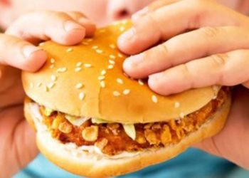 बच्‍चे को जंक फूड से रखें दूर, वरना हो सकता है ये नुकसान