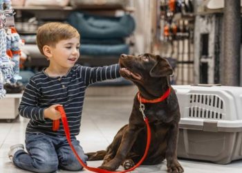 घर में होने चाहिए पैट्स, बच्चों को जिम्मेदार भी बनाते हैं पेट्स