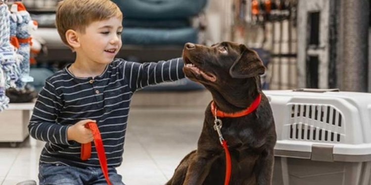 घर में होने चाहिए पैट्स, बच्चों को जिम्मेदार भी बनाते हैं पेट्स