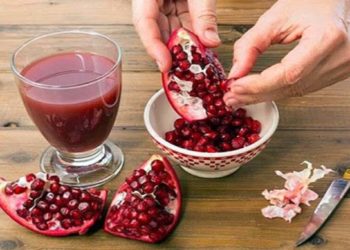 बच्चों के लिए घर में बनायें माउथ-फ्रेशनर