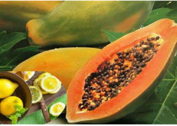 आम, नींबू, तरबूज और पपीता बढ़ाते हैं खून में ऑक्सीजन