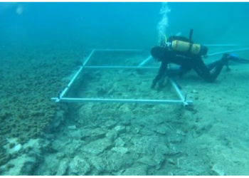 वैज्ञानिकों ने खोजा समंदर में प्रागैतिहासिक राजमार्ग, पुरातत्वविद् बता रहे 7000 साल पुरानी