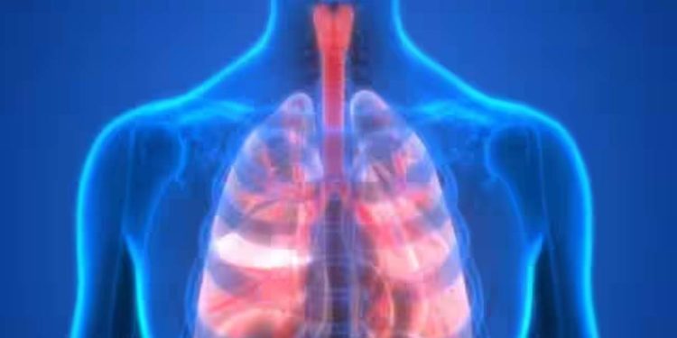 सांस और फेफड़े की बीमारी से सावधान रहें