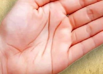 चंद्र पर्वत का है जीवन में अहम स्थान