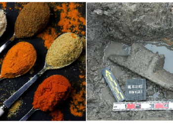 आज से 2 हजार साल पहले भी व्यंजनों में करी का होता था प्रयोग, शोधकर्ताओं को ‎मिला ठोस प्रमाण