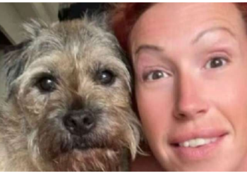 न पढ़ाई न ही डिग्री की ज़रूरत, 32 लाख सालाना कमा रही म‎हिला