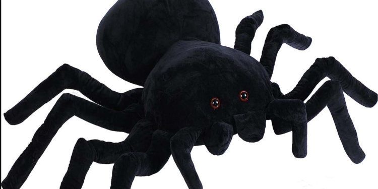 मकड़ी जैसे दिखते हैं एलियन, यूएफओ एक्सपर्ट ने किया यह दावा