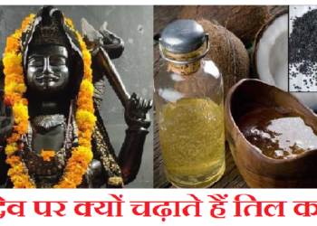 क्या आप जानते हैं कि शनिदेव पर क्यों चढ़ाया जाता है तिल का तेल