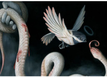 जानिए क्या आप कर सकते हैं अपने दोस्त पर भरोसा? इस पर्सनैलिटी टेस्ट से करें पहचान