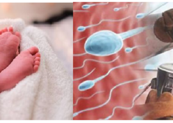 इजरायल के वैज्ञानिकों को कारनामा,  बिना महिला, बिना पुरुष होगा बच्चों का जन्म