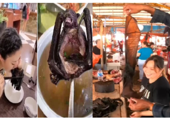 खाने-पीने के मामले में चीन का चचेरा भाई हैं ये देश, चमगादड़ का मीट भी खाया जा रहा