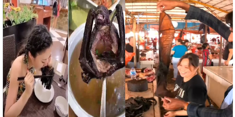 खाने-पीने के मामले में चीन का चचेरा भाई हैं ये देश, चमगादड़ का मीट भी खाया जा रहा