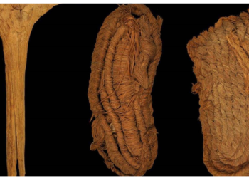 चमगादड की गुफा में मिले हजारों साल पुराने जूते, हैरान करती है डिजाइन