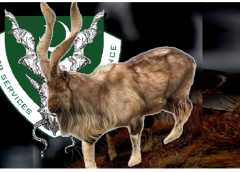 पाक ने सांप को खाने वाली बकरी को बनाया राष्ट्रीय पशु