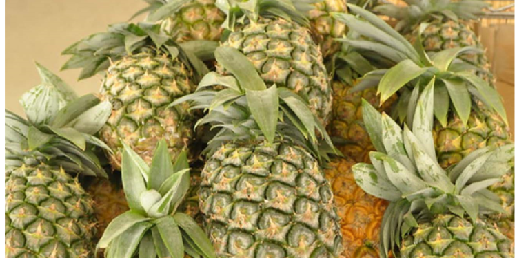 हम अनानास को खाते हैं, वो उल्टा हमें खाता है, वज़न घटाने वाले समझते हैं इस फल को अमृत